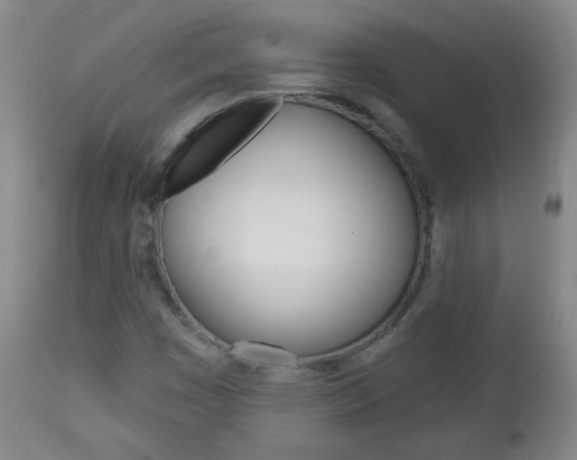 X0000113131449200909040921