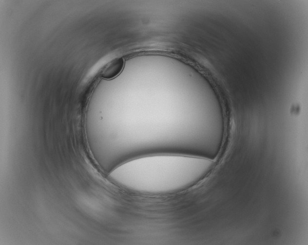 X0000113131450200909040921
