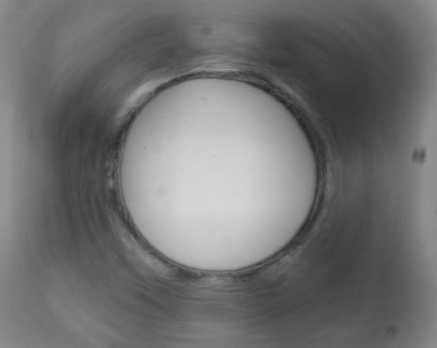 X0000113131451200909040921