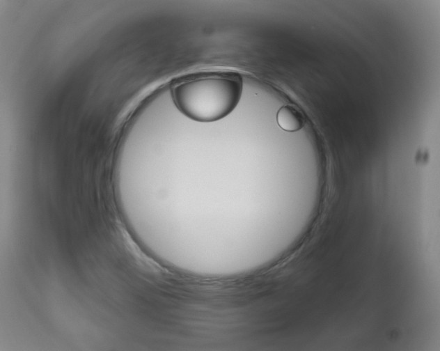 X0000113131452200909040921