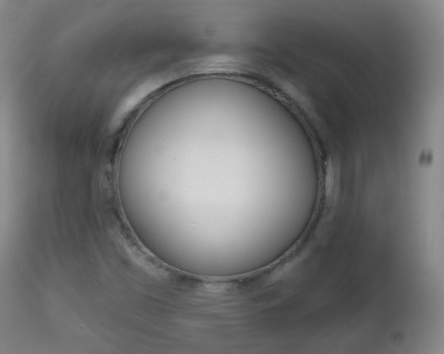 X0000113131453200909040921