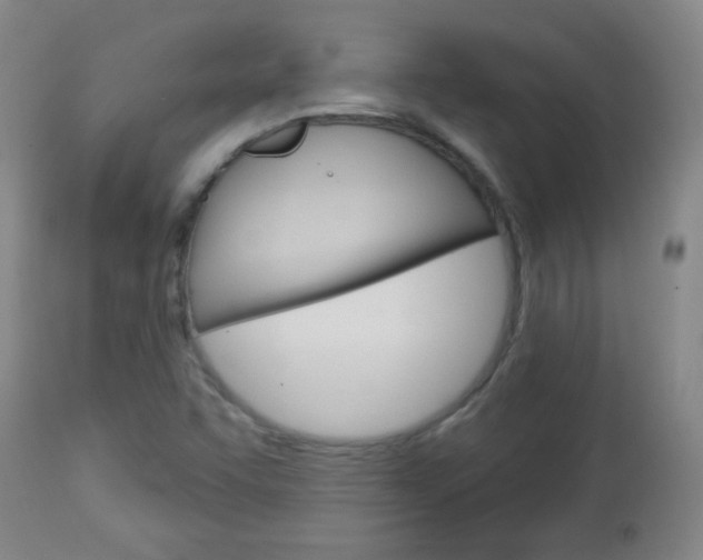 X0000113131455200909040921
