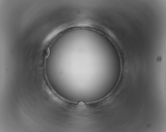 X0000113131456200909040921