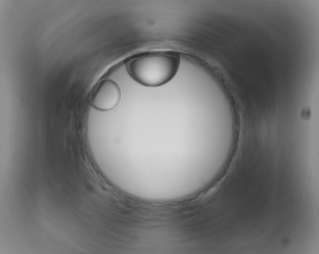X0000113131457200909040921
