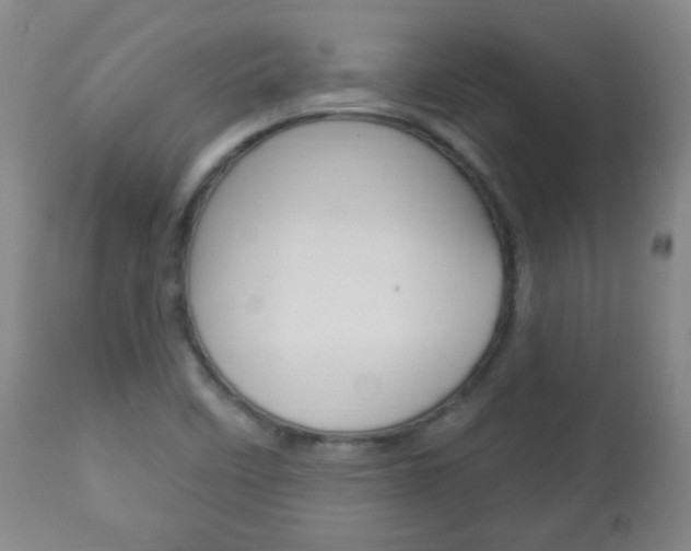 X0000113131458200909040921