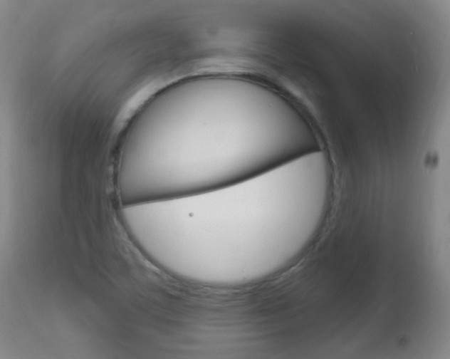X0000113131459200909040921