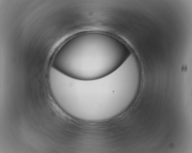 X0000113131460200909040921