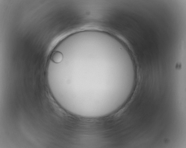 X0000113131461200909040921