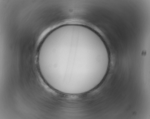 X0000113131462200909040921