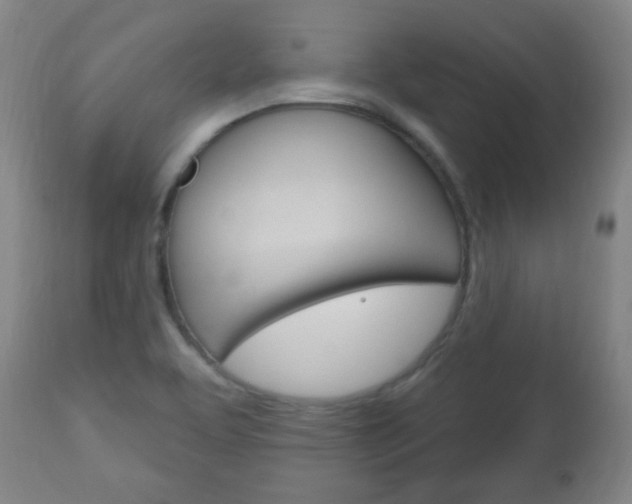 X0000113131463200909040921