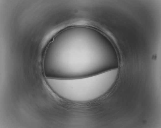 X0000113131464200909040921