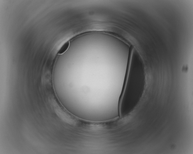 X0000113131465200909040921