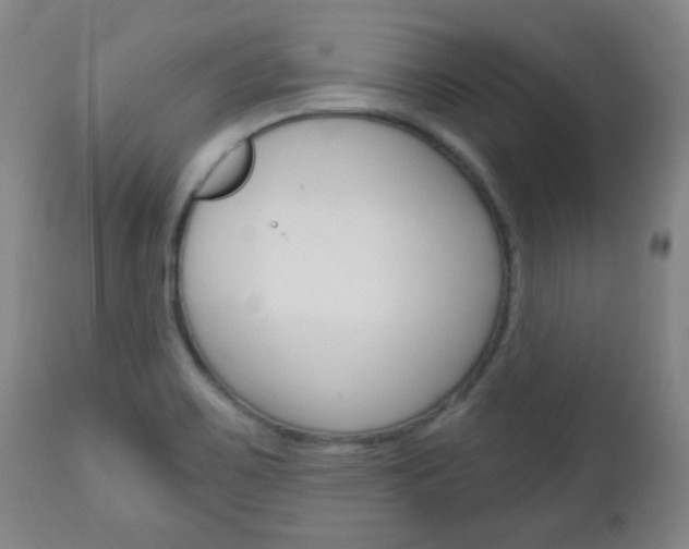 X0000113131467200909040921