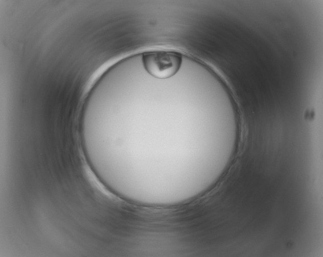 X0000113131468200909040921
