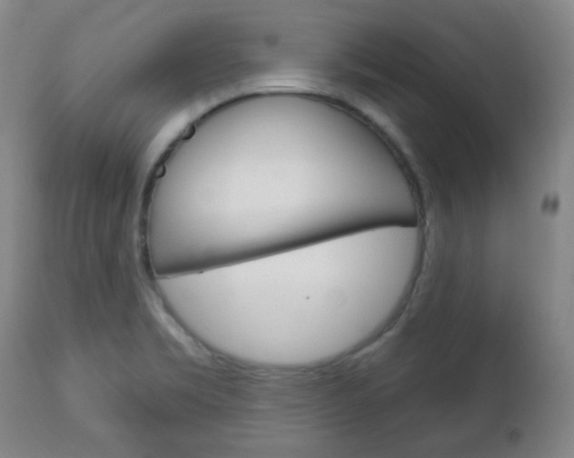 X0000113131469200909040921
