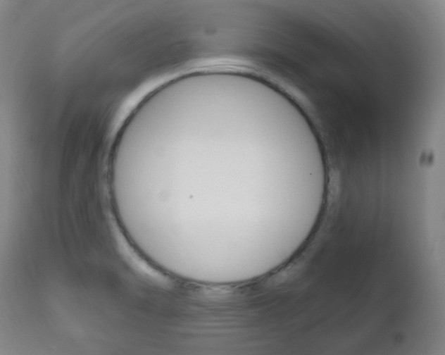 X0000113131470200909040921