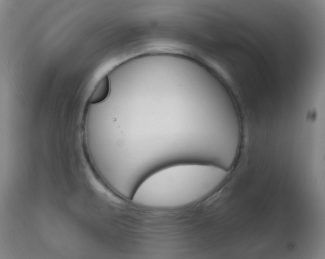 X0000113131471200909040921
