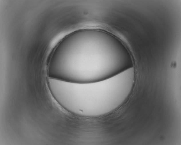 X0000113131472200909040921