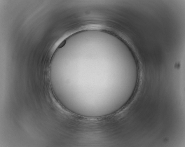 X0000113131473200909040921