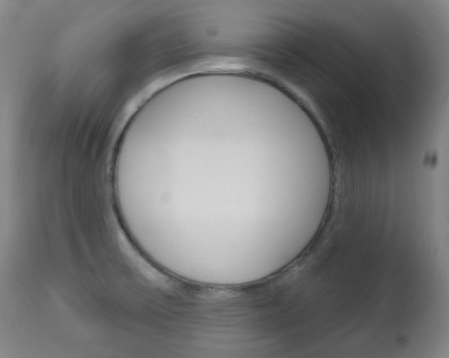 X0000113131475200909040921