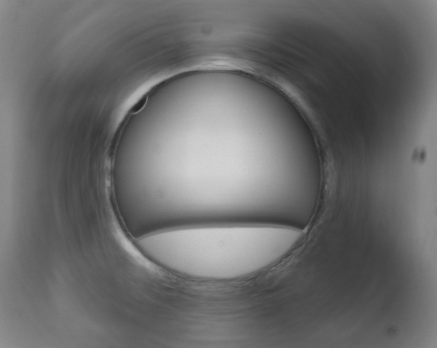 X0000113131476200909040921