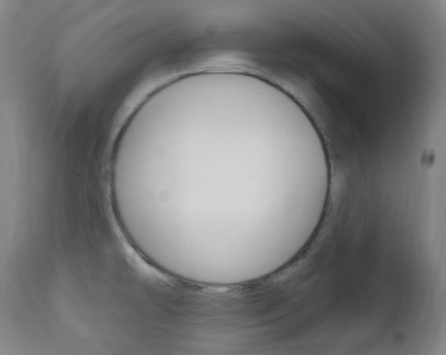 X0000113131478200909040921