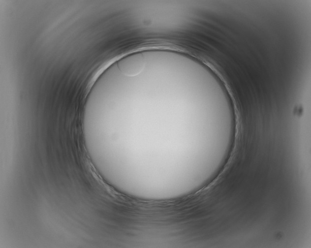 X0000113131481200909040921