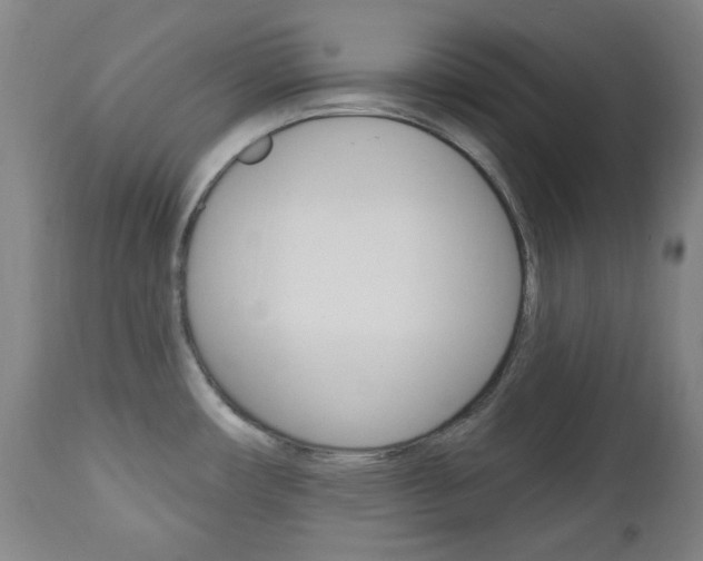 X0000113131482200909040921