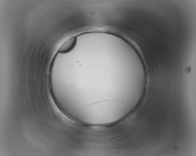 X0000113131483200909040921