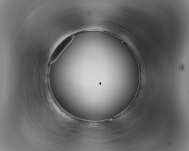 X0000113131484200909040921