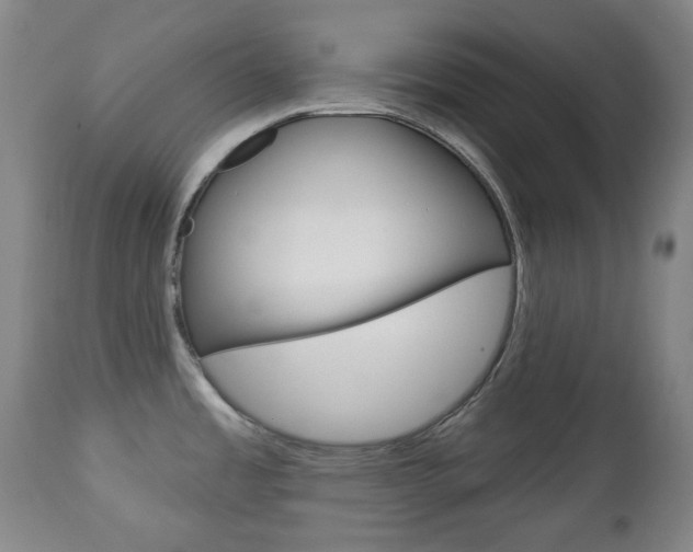 X0000113131485200909040921