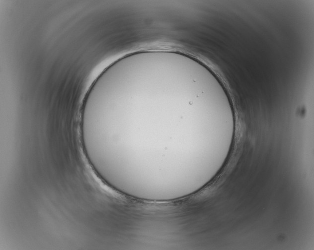 X0000113131486200909040921