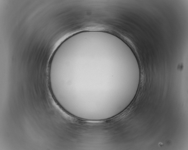 X0000113131487200909040921