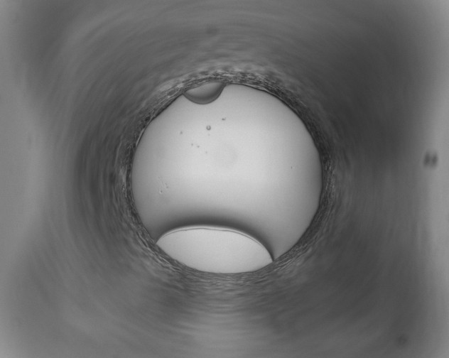 X0000113131489200909040920