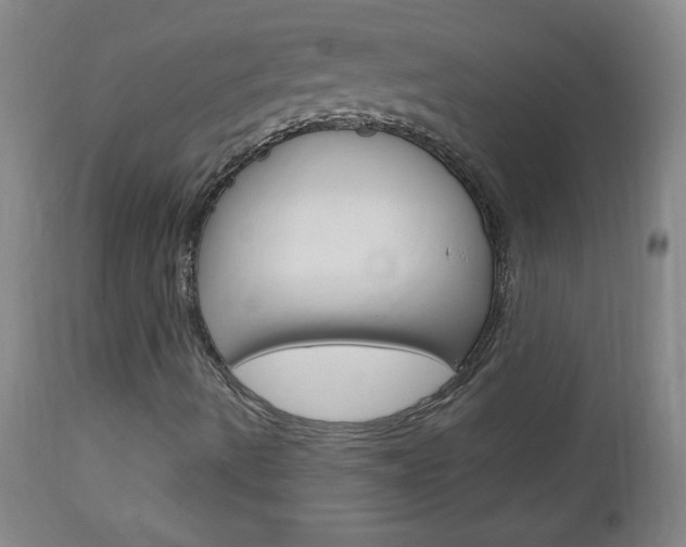X0000113131490200909040920