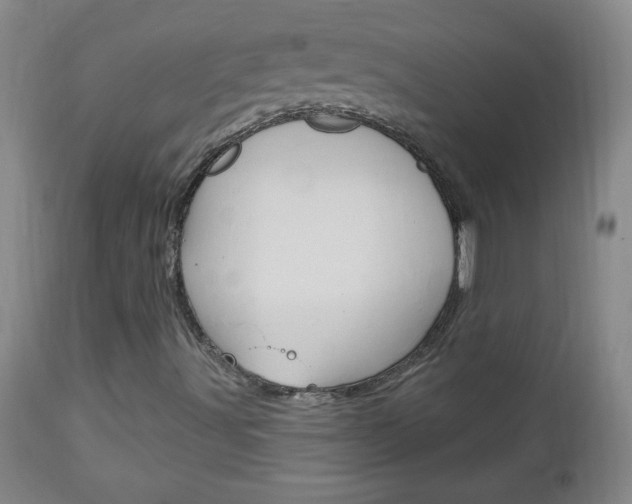 X0000113131491200909040920