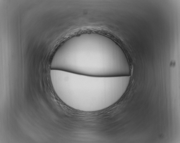 X0000113131492200909040920