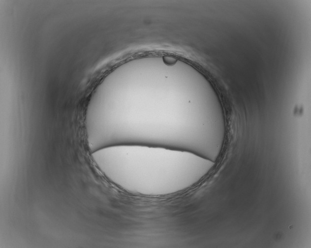 X0000113131494200909040920