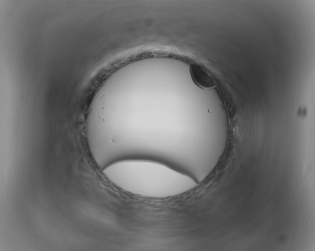 X0000113131495200909040920