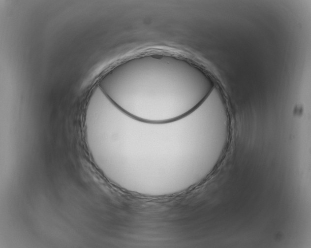 X0000113131496200909040920