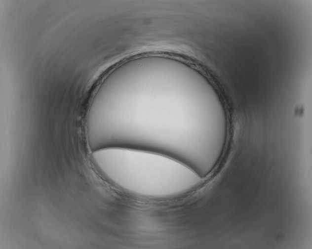 X0000113131497200909040920