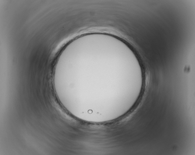 X0000113131498200909040920