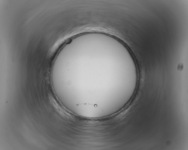 X0000113131499200909040920