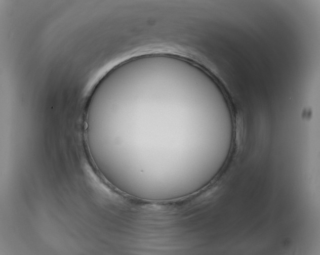 X0000113131500200909040920