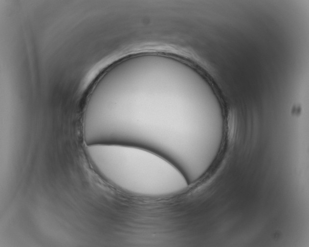 X0000113131501200909040920