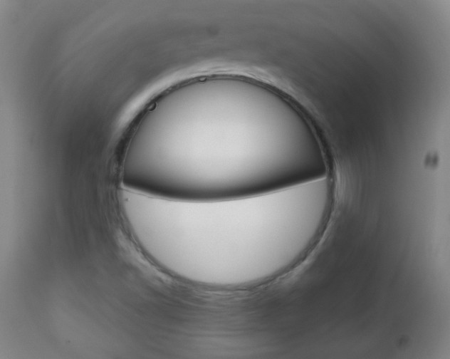 X0000113131502200909040920