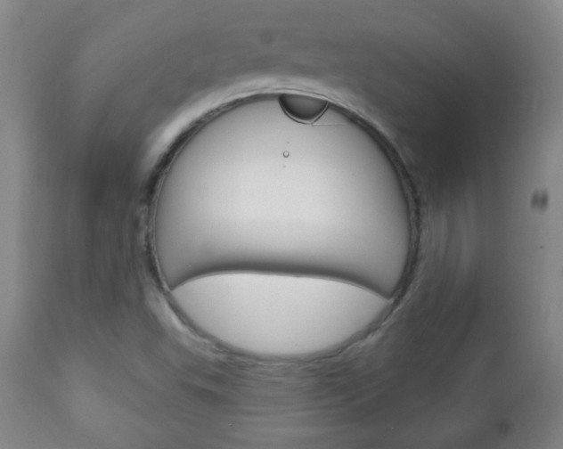 X0000113131503200909040920