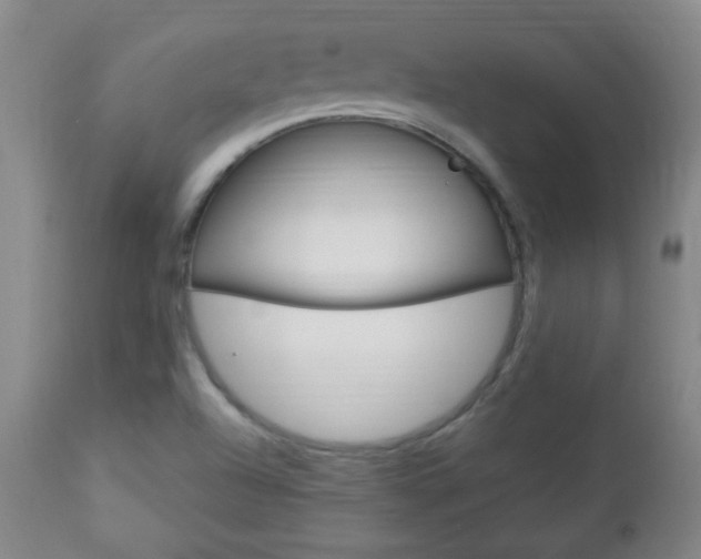 X0000113131504200909040920