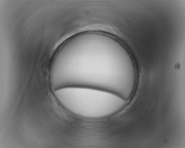 X0000113131505200909040920