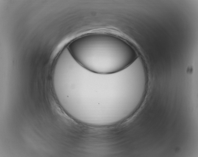 X0000113131506200909040920
